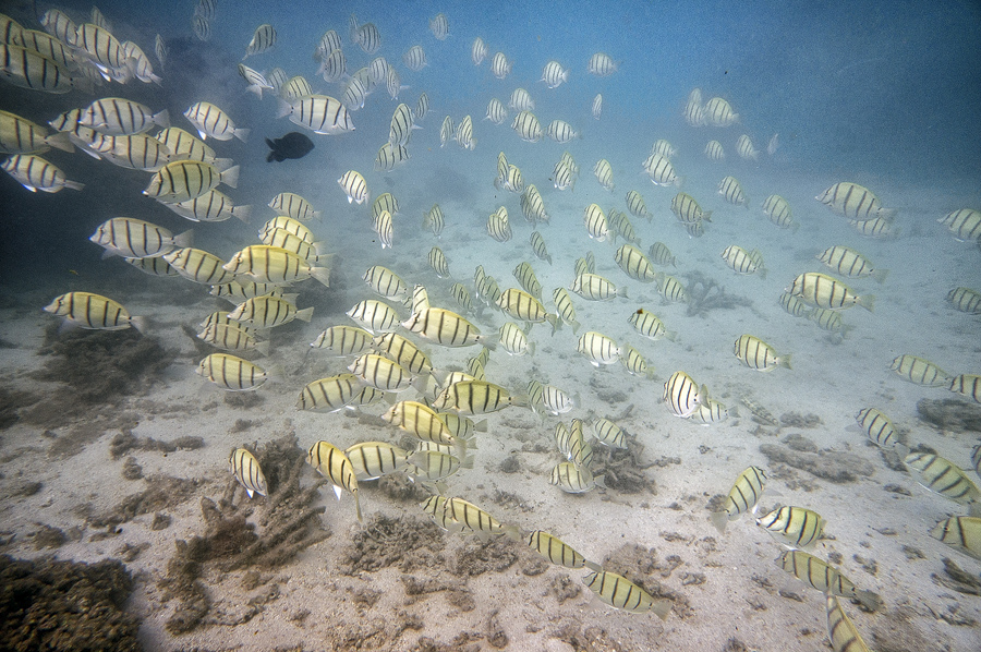 Ningaloo7