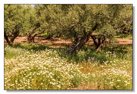 Kreta im Frühling