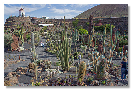 Kaktusgarten